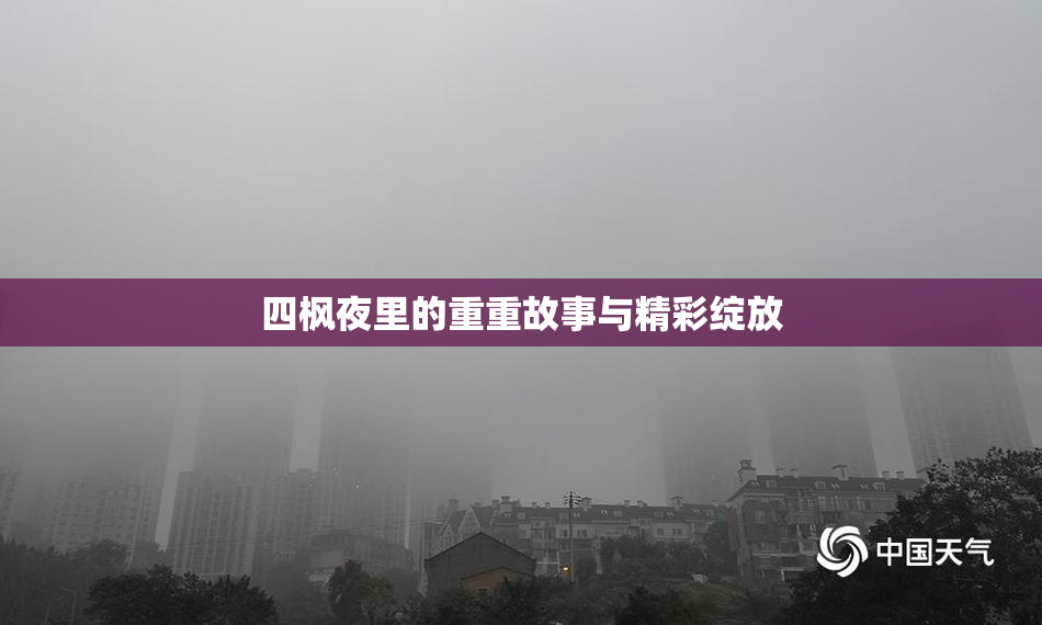 四枫夜里的重重故事与精彩绽放