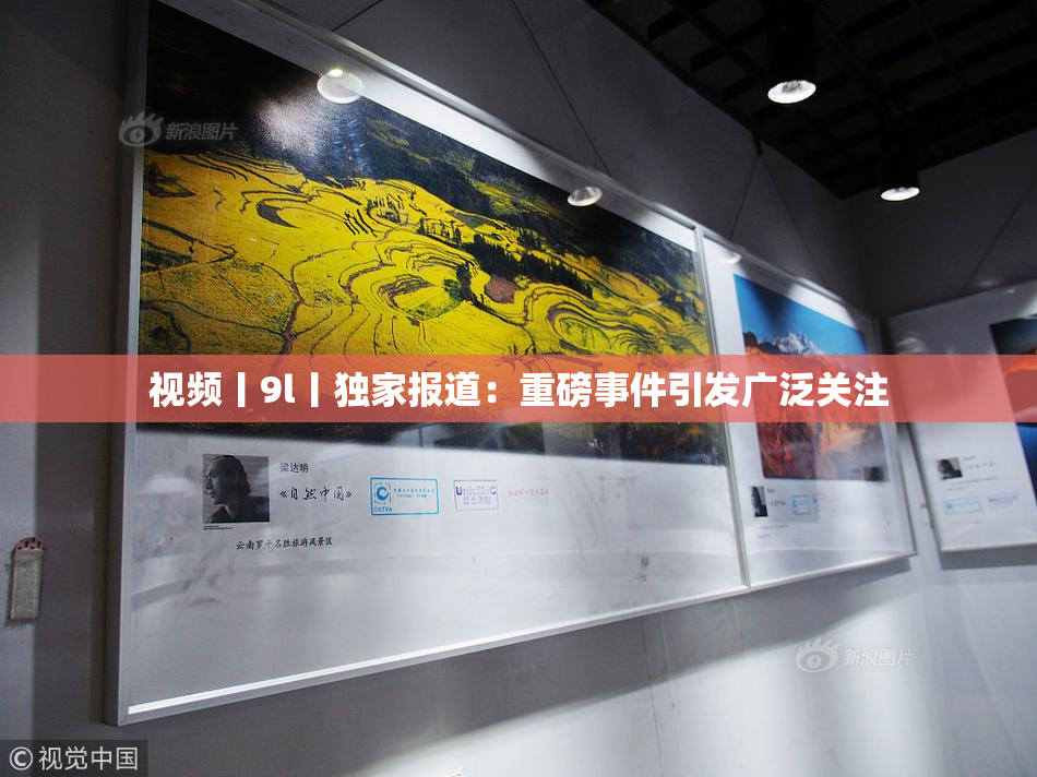 视频丨9l丨独家报道：重磅事件引发广泛关注