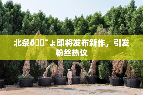 北条🔯ょ即将发布新作，引发粉丝热议