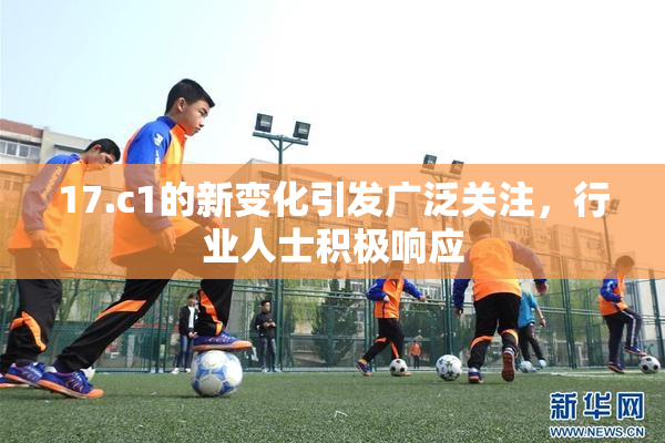 17.c1的新变化引发广泛关注，行业人士积极响应