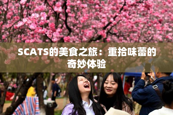 SCATS的美食之旅：重拾味蕾的奇妙体验
