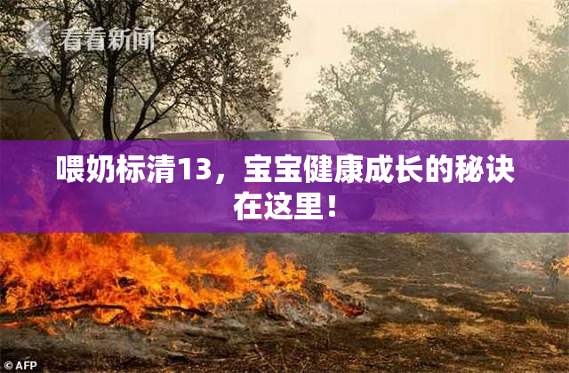 喂奶标清13，宝宝健康成长的秘诀在这里！