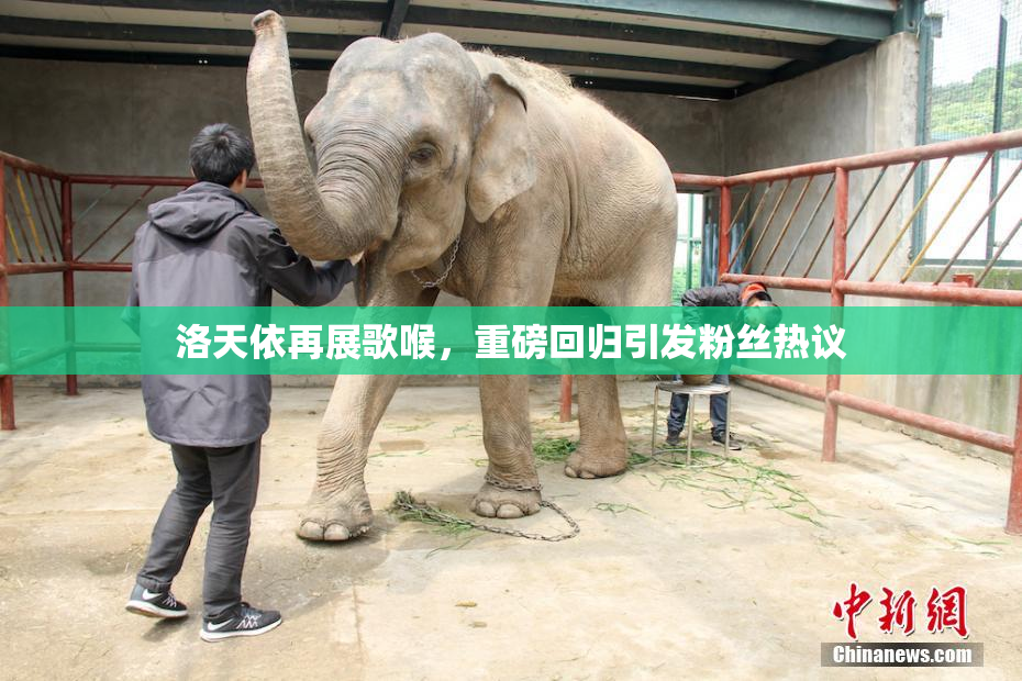洛天依再展歌喉，重磅回归引发粉丝热议