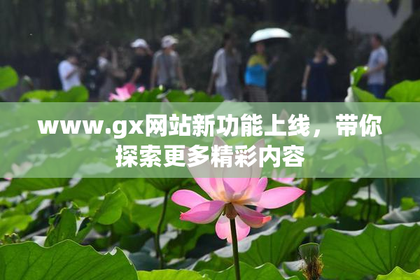 www.gx网站新功能上线，带你探索更多精彩内容