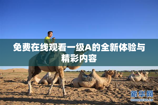 免费在线观看一级A的全新体验与精彩内容