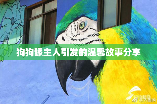 狗狗舔主人引发的温馨故事分享