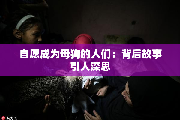 自愿成为母狗的人们：背后故事引人深思