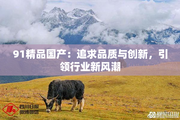 91精品国产：追求品质与创新，引领行业新风潮