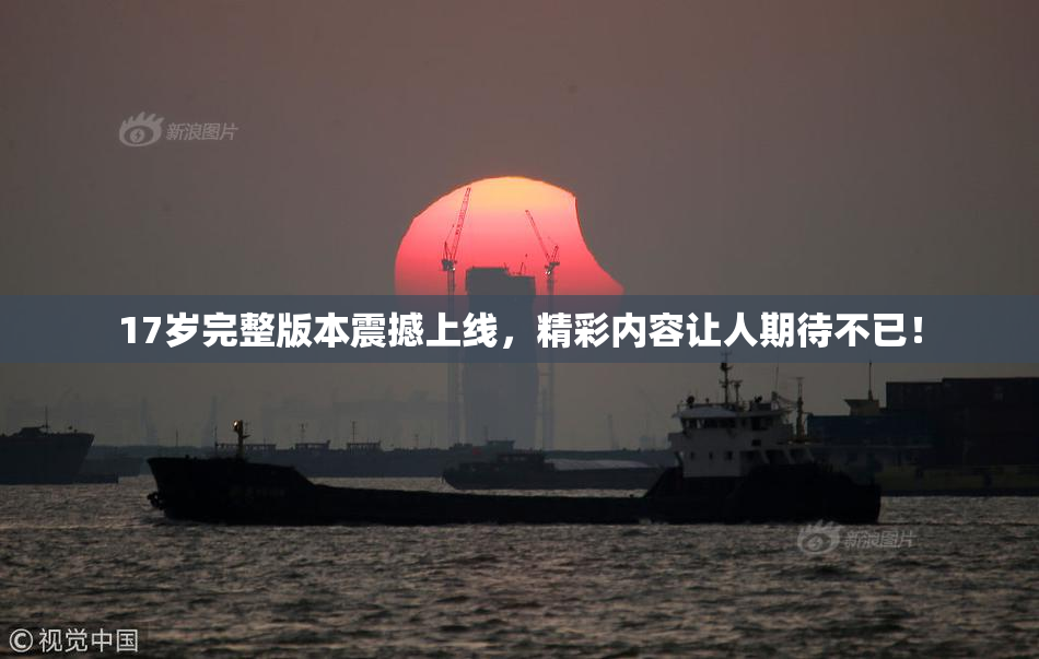17岁完整版本震撼上线，精彩内容让人期待不已！