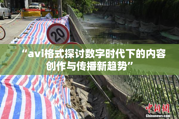 “avi格式探讨数字时代下的内容创作与传播新趋势”
