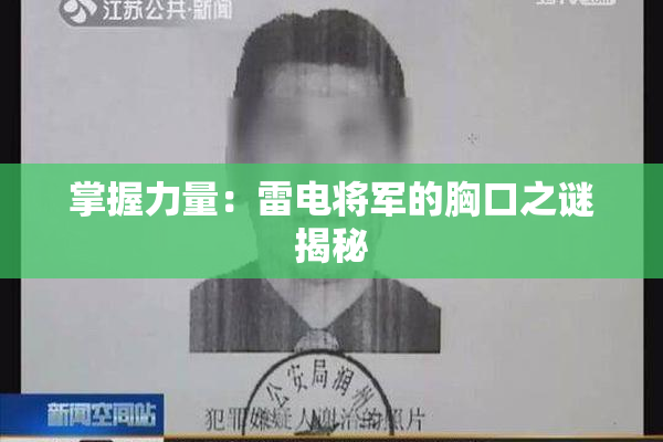 掌握力量：雷电将军的胸口之谜揭秘