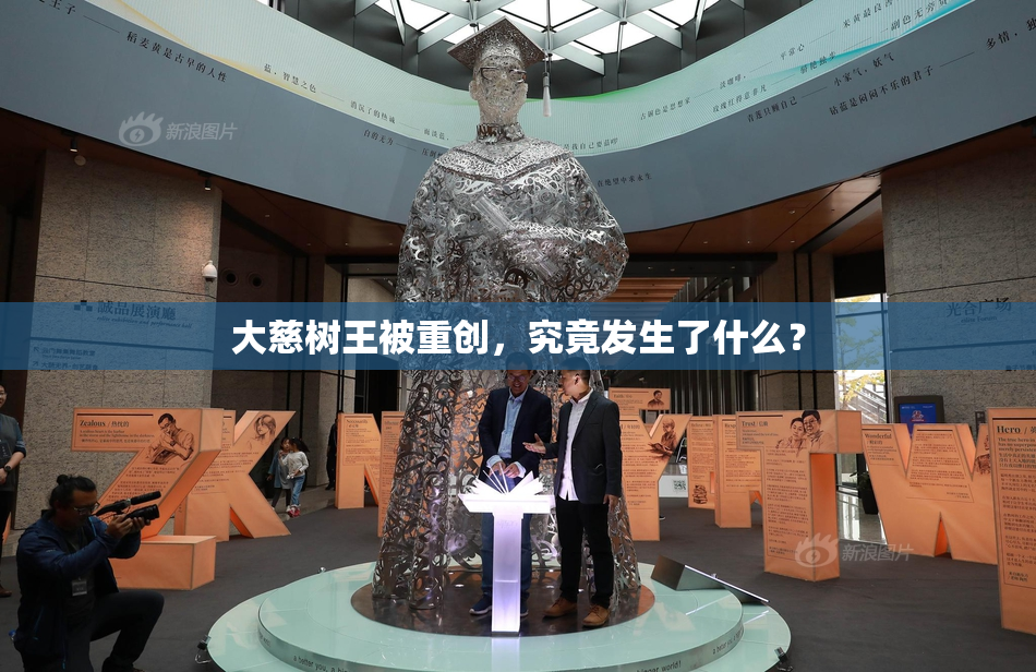 大慈树王被重创，究竟发生了什么？