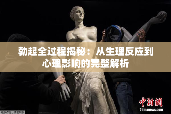 勃起全过程揭秘：从生理反应到心理影响的完整解析