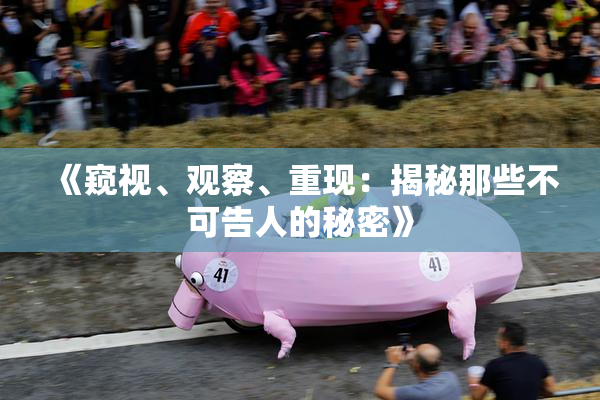 《窥视、观察、重现：揭秘那些不可告人的秘密》