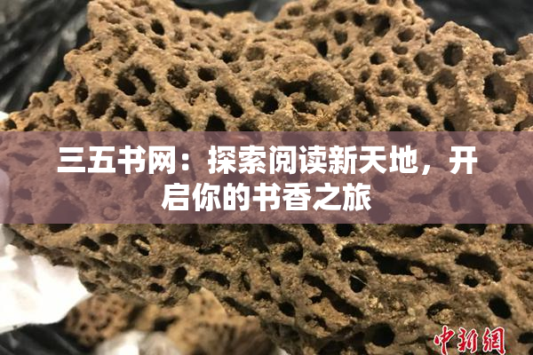三五书网：探索阅读新天地，开启你的书香之旅
