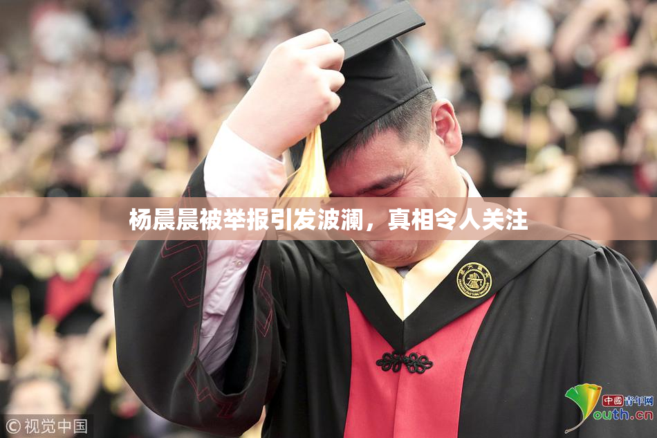 杨晨晨被举报引发波澜，真相令人关注