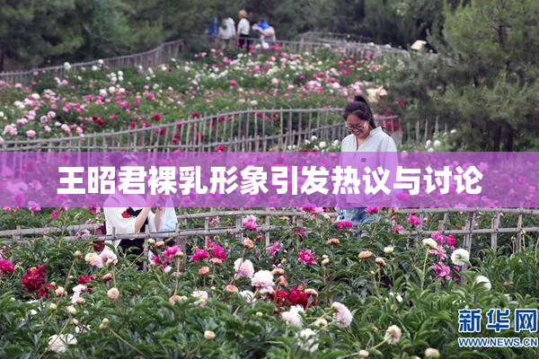 王昭君裸乳形象引发热议与讨论