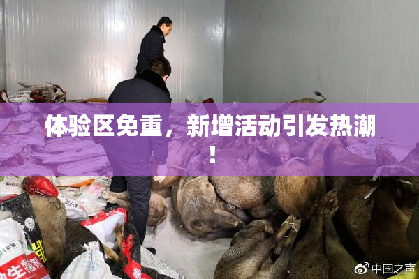 体验区免重，新增活动引发热潮！