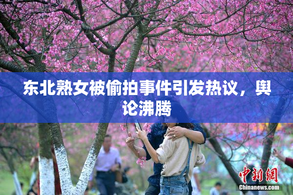 东北熟女被偷拍事件引发热议，舆论沸腾