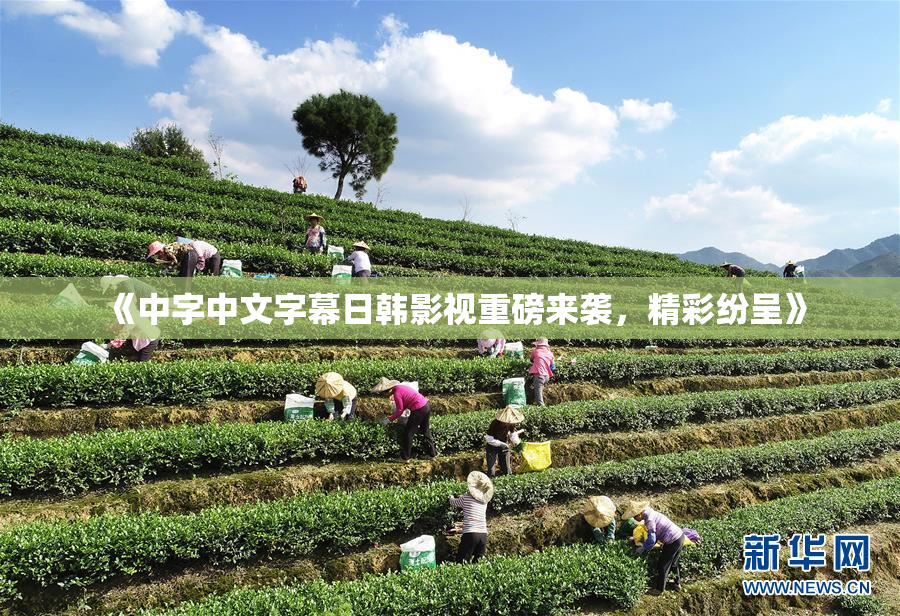 《中字中文字幕日韩影视重磅来袭，精彩纷呈》