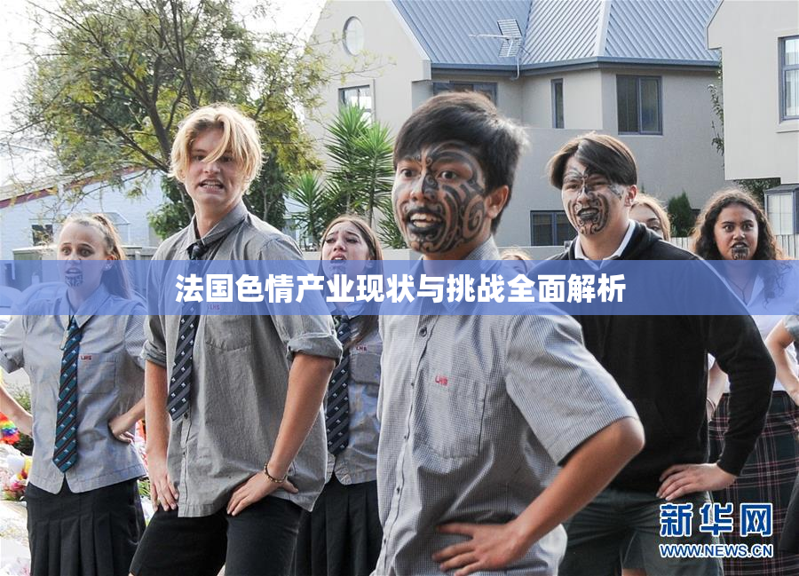 法国色情产业现状与挑战全面解析