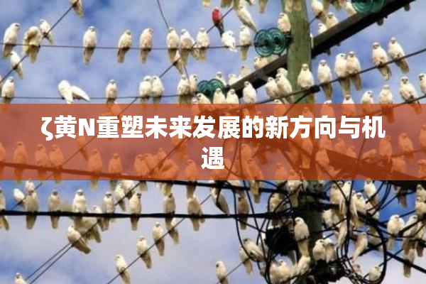 ζ黄Ν重塑未来发展的新方向与机遇