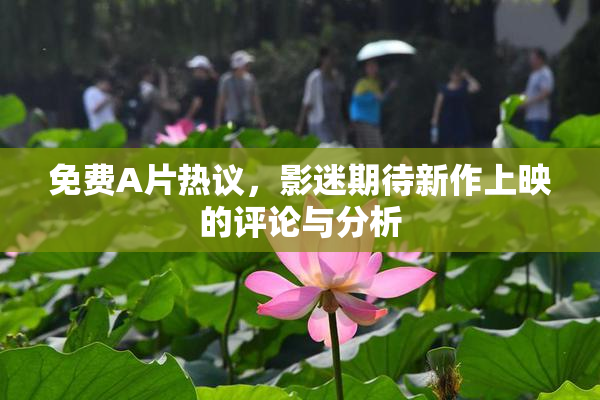 免费A片热议，影迷期待新作上映的评论与分析