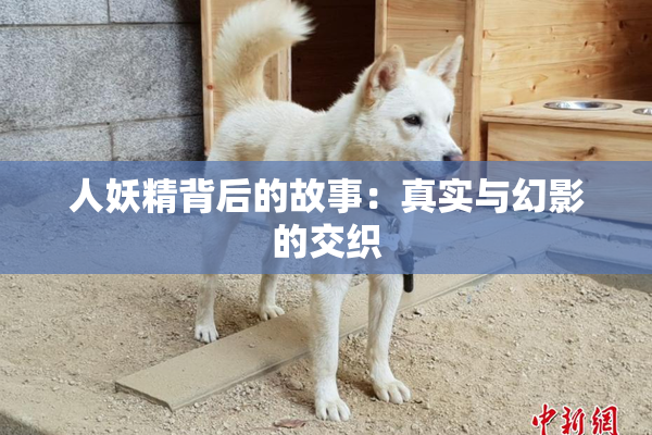 人妖精背后的故事：真实与幻影的交织