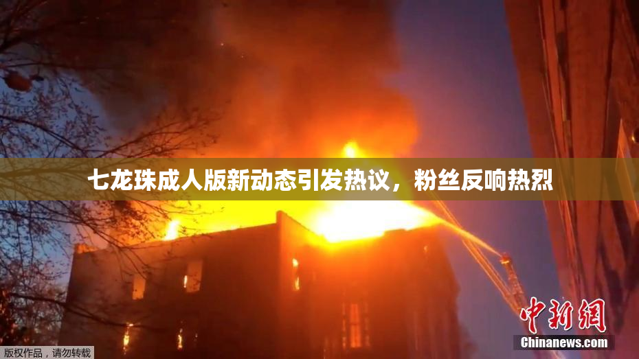 七龙珠成人版新动态引发热议，粉丝反响热烈
