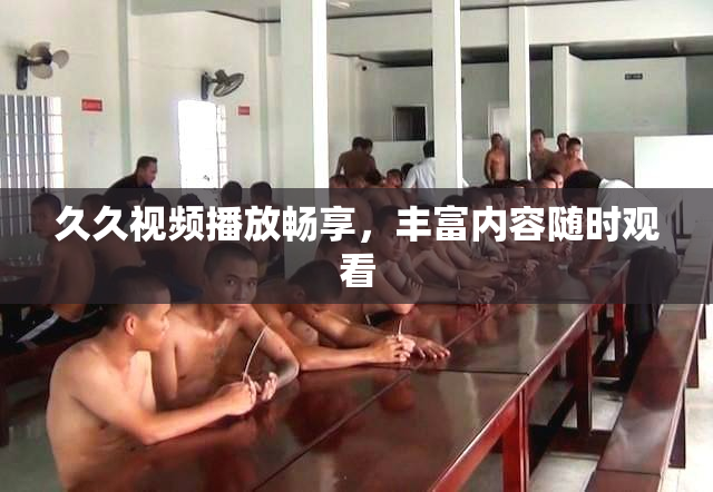 久久视频播放畅享，丰富内容随时观看