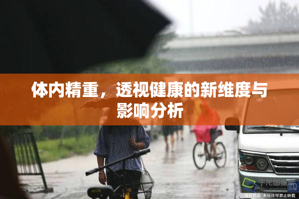体内精重，透视健康的新维度与影响分析