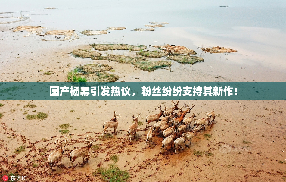 国产杨幂引发热议，粉丝纷纷支持其新作！