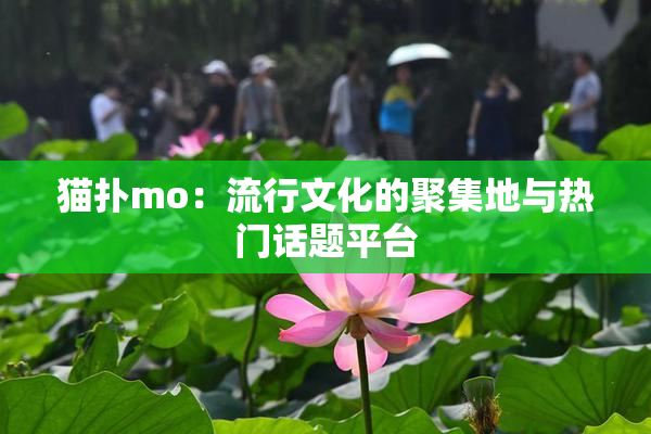 猫扑mo：流行文化的聚集地与热门话题平台