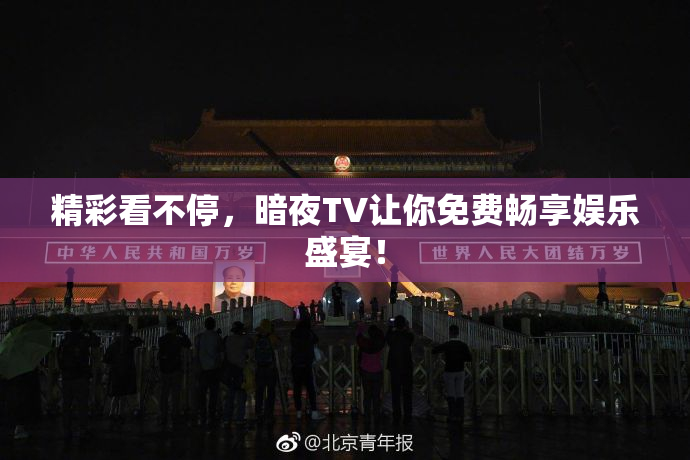 精彩看不停，暗夜TV让你免费畅享娱乐盛宴！