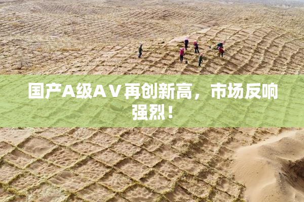 国产A级AⅤ再创新高，市场反响强烈！