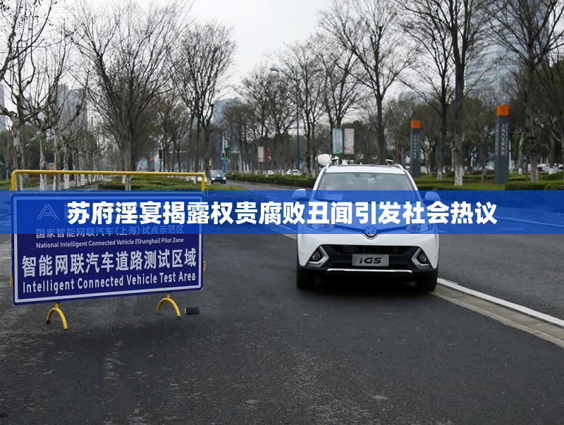 苏府淫宴揭露权贵腐败丑闻引发社会热议