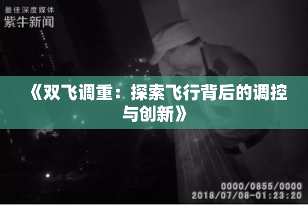 《双飞调重：探索飞行背后的调控与创新》
