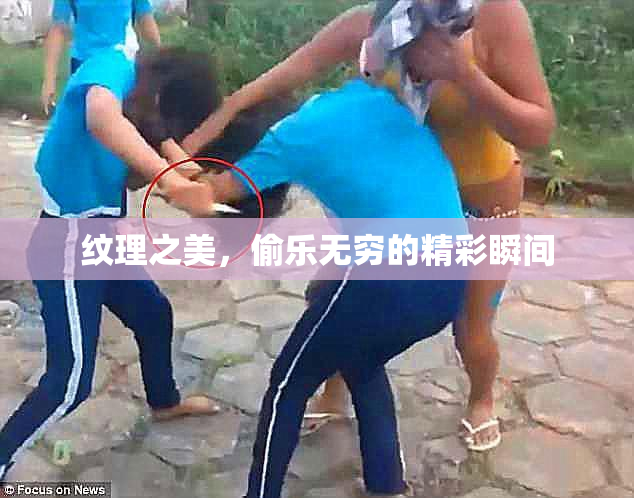 纹理之美，偷乐无穷的精彩瞬间