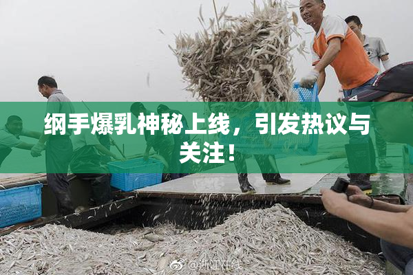 纲手爆乳神秘上线，引发热议与关注！
