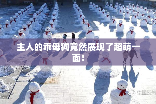 主人的乖母狗竟然展现了超萌一面！