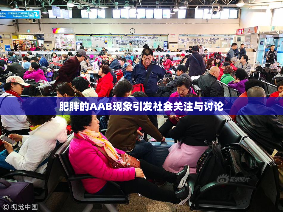 肥胖的AAB现象引发社会关注与讨论