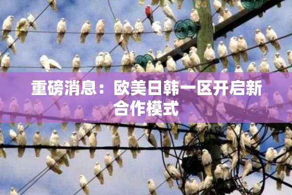 重磅消息：欧美日韩一区开启新合作模式