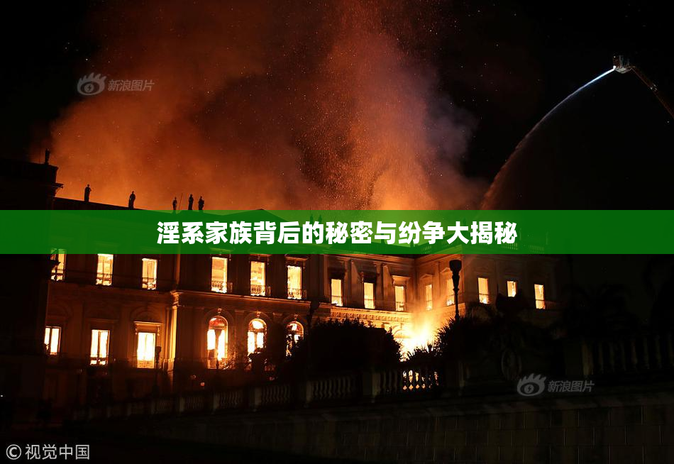 淫系家族背后的秘密与纷争大揭秘
