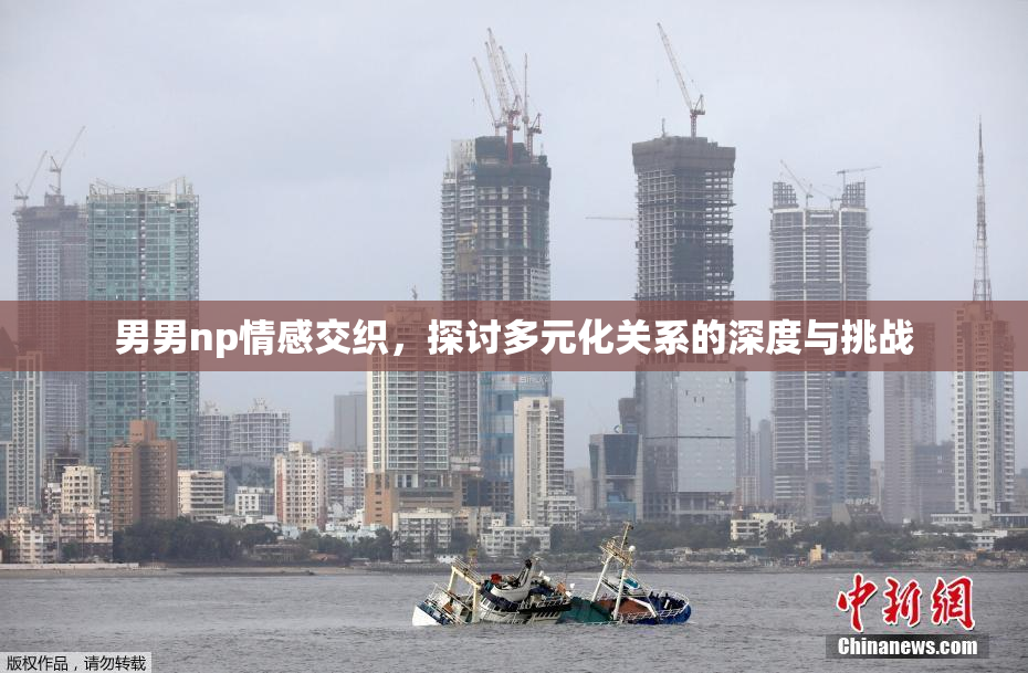 男男np情感交织，探讨多元化关系的深度与挑战