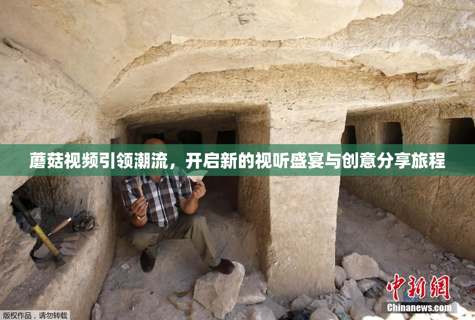 蘑菇视频引领潮流，开启新的视听盛宴与创意分享旅程