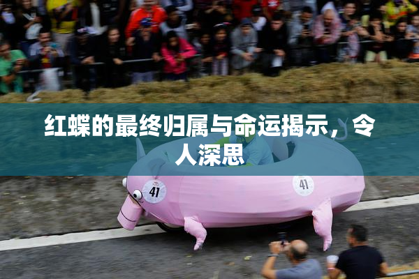 红蝶的最终归属与命运揭示，令人深思