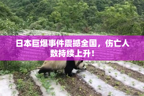日本巨爆事件震撼全国，伤亡人数持续上升！