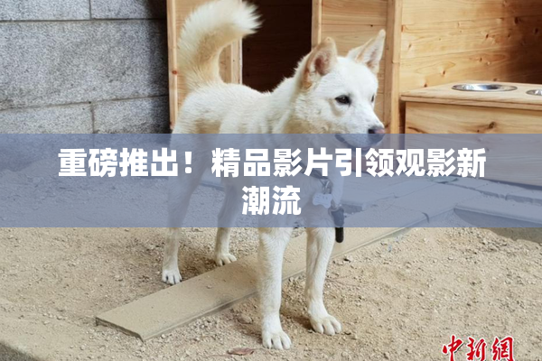 重磅推出！精品影片引领观影新潮流