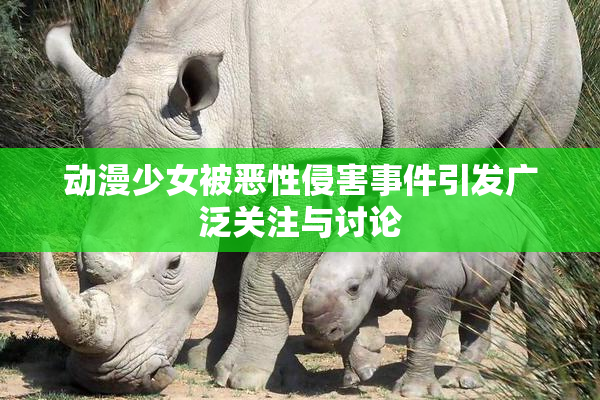 动漫少女被恶性侵害事件引发广泛关注与讨论