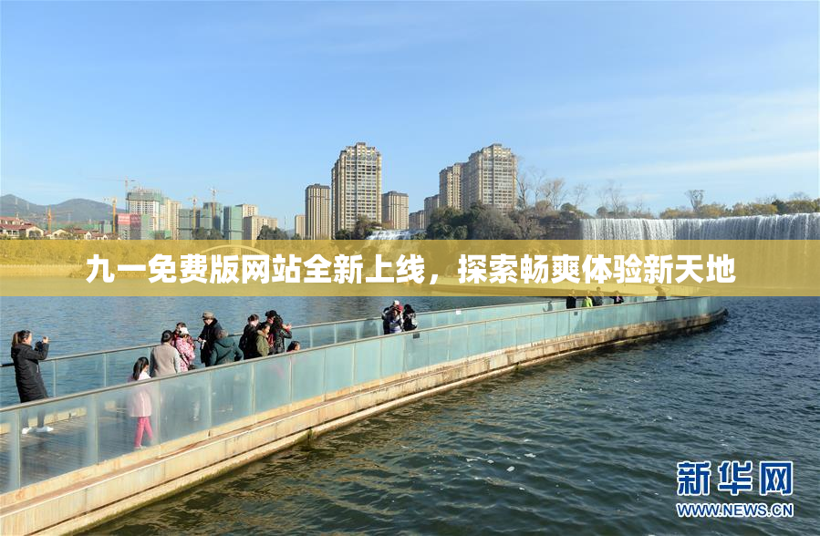 九一免费版网站全新上线，探索畅爽体验新天地